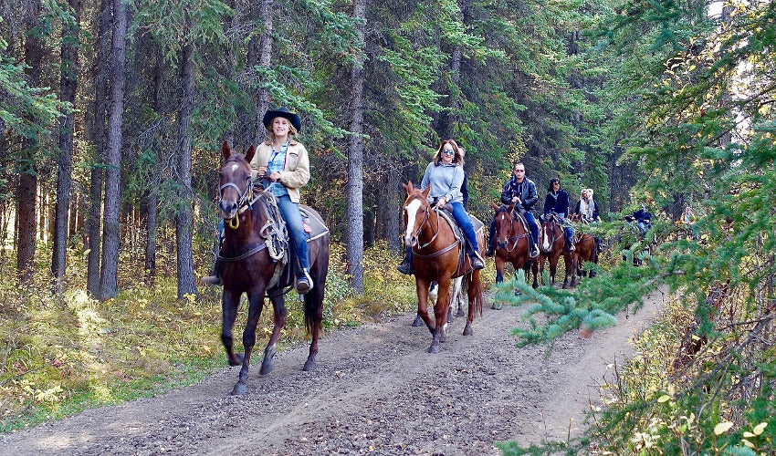 The Stylish Life of an Equestrian