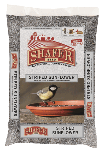 Shafer Seed- Striped Sunflower Seed