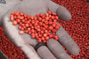 Real World Wildlife Products RWWP Generation 2 Whitetail Soybean