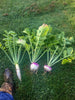 Real World Wildlife Products RWWP Plot Topper