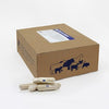 Bio-Vet RumenAider® Cattle Capsules