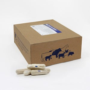 Bio-Vet RumenAider® Cattle Capsules