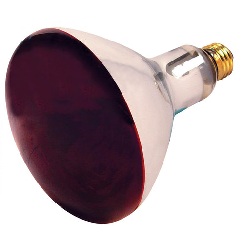 Satco 250R40/HR Red Infrared Heat Lamp Bulb