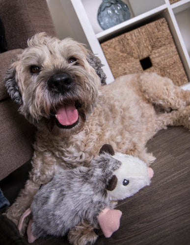 GODOG Flatz Squeaky Plush Dog Toys with Chew Guard Technology